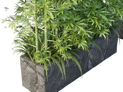  outdoor plant pot bamboo tree fern stone old vase bax 3D model