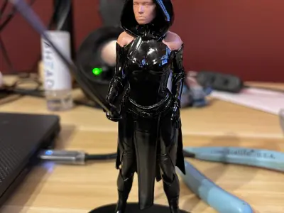 Mistress of the Dark Side 3D print model