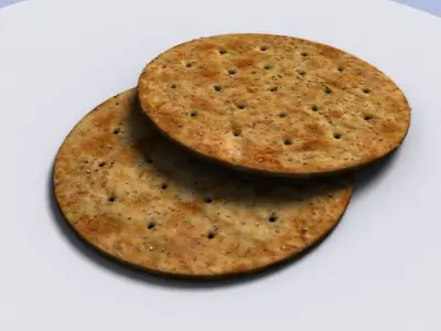 Salty cracker biscuit 3D model