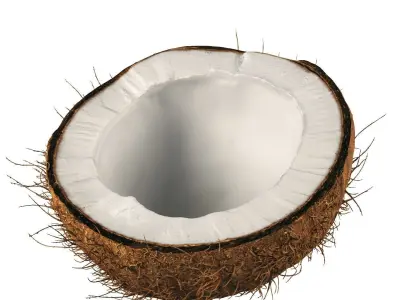 4k scanned coconut 02 3D model