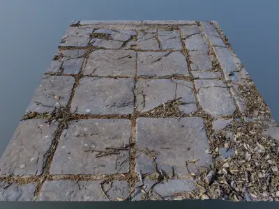 Tilescan02 stone floor with cracks in it 3D model