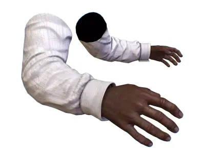 First Person Arms shirt FPS RIGGED animated Low-poly 3D model