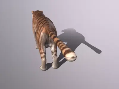 tiger Low-poly 3D model