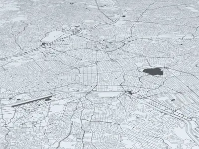 Sao Paulo Road Network and Streets 3D model