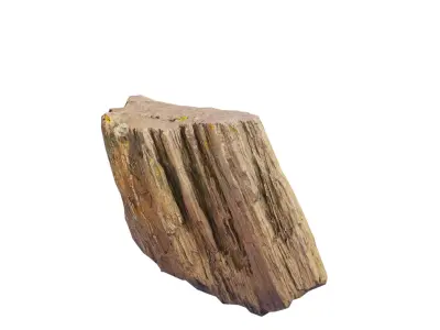 Petrified Wood 3 Low-poly 3D model