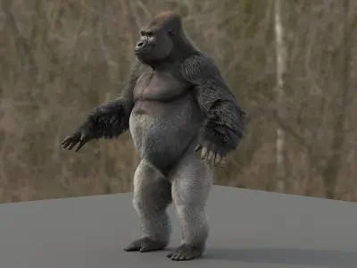  Gorilla 
