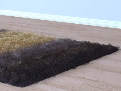 Carpet grass 3D model