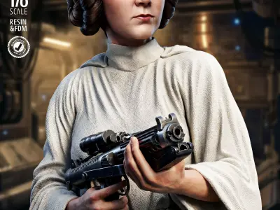 STAR WARS Leia Organa Sculpture 3D print model