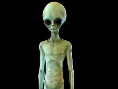 Realistic Alien 2 Gray Low-poly 3D model