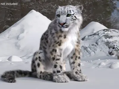  Snow Leopard Fur Rigged 