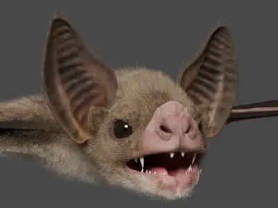 Vampire Bat ANIMATED 3D model