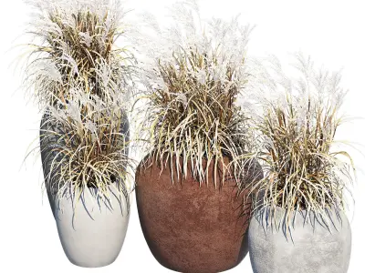 Ronan Ficonstone Indoor 3D model