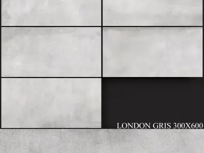 Keros London Gris 300x600 3D model
