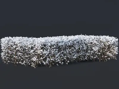 Cotoneaster lucidus Nr7 winter hedge set 3D model