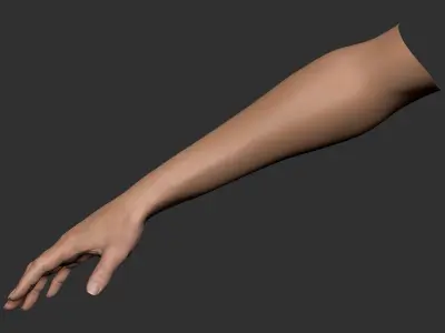  Realistic Female Arm 