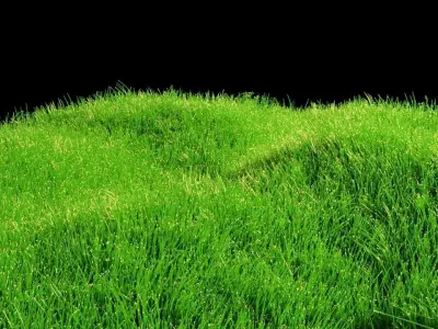 Blender Realistic Grass With Particle System Low-poly 3D model