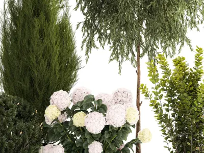 Beautiful plants in pots for indoors and outdoors 1298 3D model