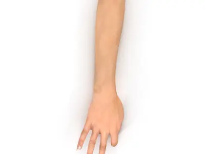  Female Hand 2 Rigged for Cinema 4D 