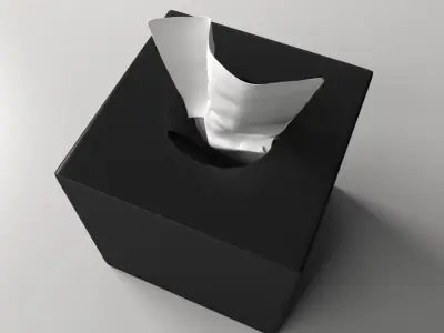 Tissue Box 2 3D model