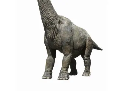  Brachiosaurus Rigged 3D 