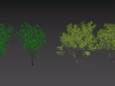 3D plant models 3D model