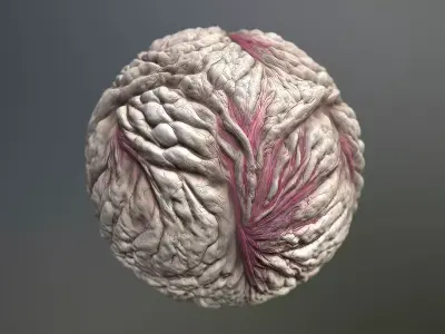 Material Skin Monster 20 Seamless PBR Texture Texture