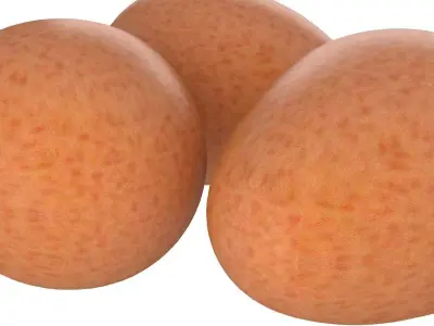 Eggs Brown 3D model
