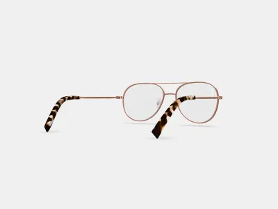 York Eyeglasses in Rose Gold 3D model