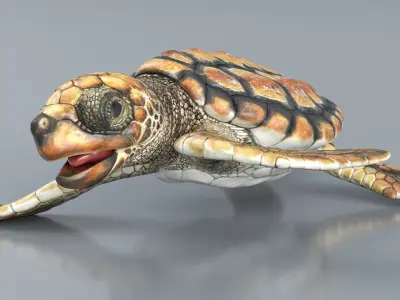  Baby Sea Turtle Brown Swim Rigged For Maya Animated 