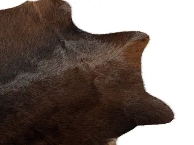 Animal skin rug 16 3D model