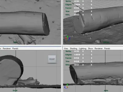 Dead trunk 5 Low-poly 3D model