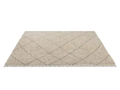 LASRI WOOL RUG 3D model