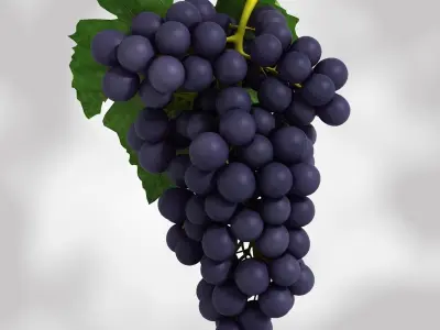 Grapes Black and Blue Low-poly 3D model