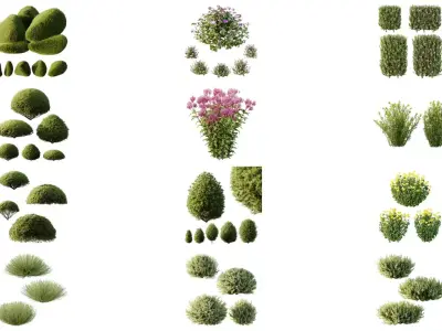Excellent collection of Outdoor plants 43 Different Models 0041 3D Model Pack