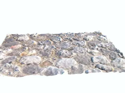 Cobblestone Path 3D model