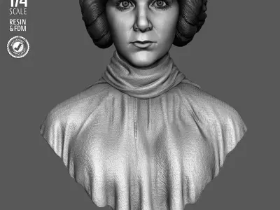 STAR WARS Leia Organa Portrait Bust 3D print model