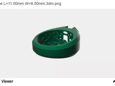 The Paradigm Ring 3D print model