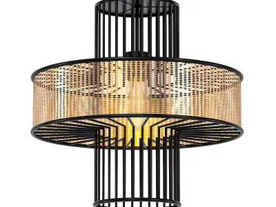 Design hanging 3D model