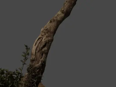 lapenatree2 3D model
