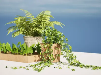 indoor and exterior pot plant trio 3d pack Low-poly 3D model