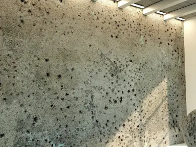 Concrete wall Old concrete  71 Texture