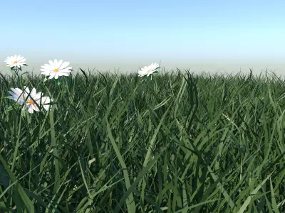 Grass daffodils in 3D model