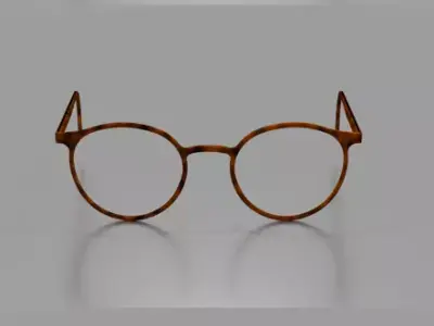 Glasses 3D model