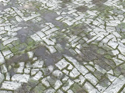 Old Mossy Floor Seamless 4 PBR Texture