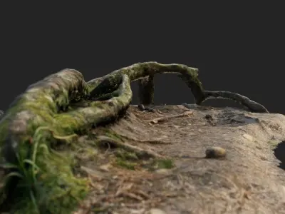 nature forest roots 001 3D model