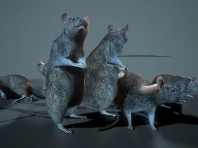  Rat 12-animations Game ready props Low-poly 