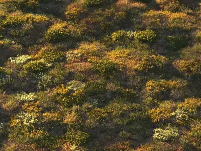 Forest grass 3D model