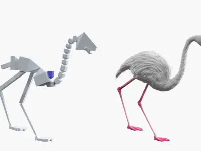  Albino Flamingo Bird White Rigged for Maya 