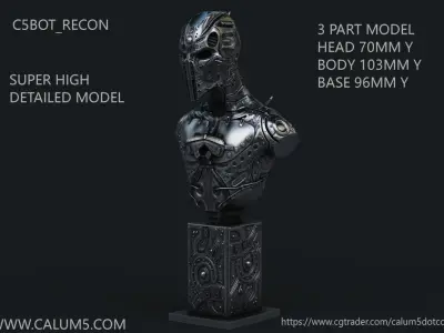 C5X Recon Bust 3D print model