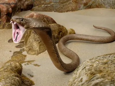  Attack Naja Cobra Animated Rigged 